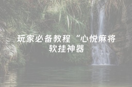 玩家必备教程“心悦麻将软挂神器（助赢神器通用版）