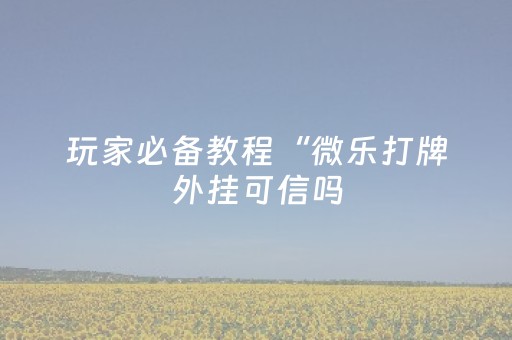 玩家必备教程“微乐打牌外挂可信吗（助赢神器通用版）