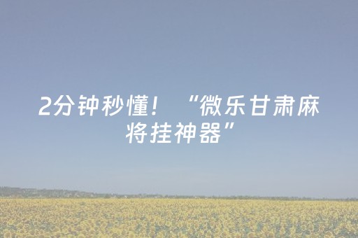 2分钟秒懂！“微乐甘肃麻将挂神器”（详细透视教程）-哔哩哔哩