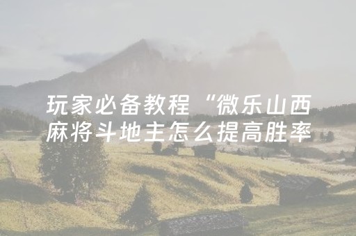 玩家必备教程“微乐山西麻将斗地主怎么提高胜率（专用辅牌神器免安装）