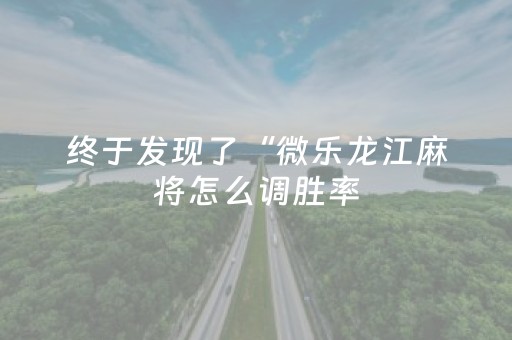 终于发现了“微乐龙江麻将怎么调胜率（专用辅牌神器免安装）