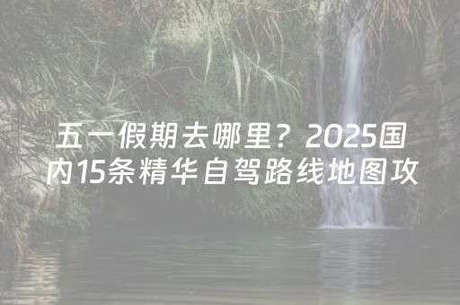 我来教大家“麻将机程序检测器（专用辅牌神器免安装）