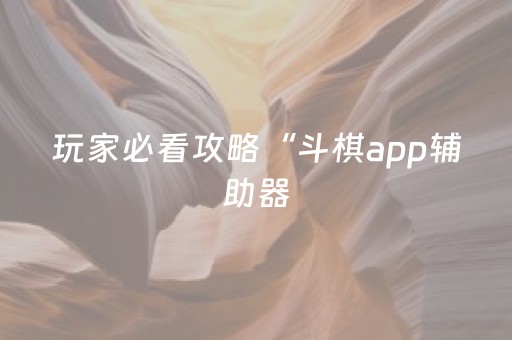 玩家必看攻略“斗棋app辅助器（专用辅牌神器免安装）
