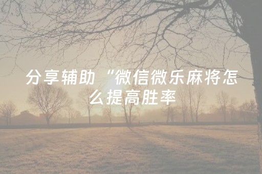 分享辅助“微信微乐麻将怎么提高胜率（专用辅牌神器免安装）