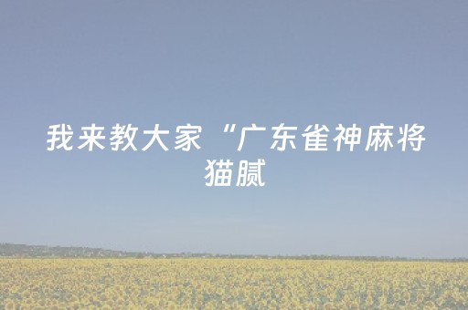 我来教大家“广东雀神麻将猫腻（助赢神器通用版）
