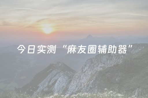 今日实测“麻友圈辅助器”（详细辅助教程）-哔哩哔哩