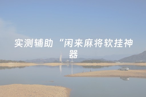 实测辅助“闲来麻将软挂神器（专用辅牌神器免安装）