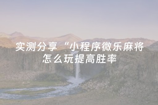 必看教程“微乐跑得快专用神器（专用辅牌神器免安装）