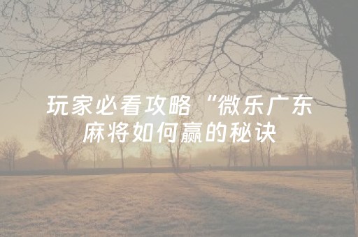 玩家必看攻略“微乐广东麻将如何赢的秘诀（专用辅牌神器免安装）