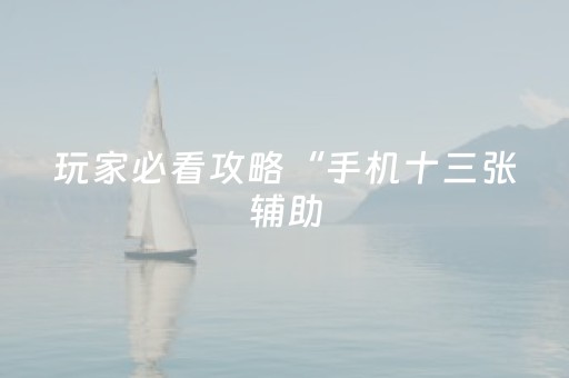 玩家必看攻略“手机十三张辅助（专用辅牌神器免安装）