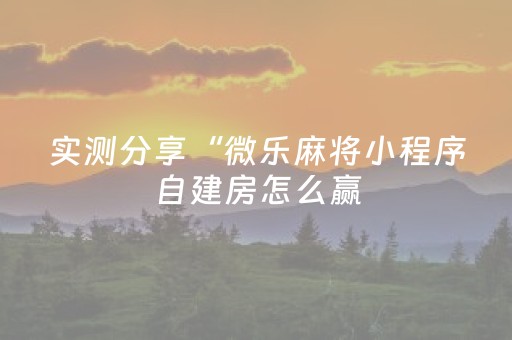 实测分享“微乐麻将小程序自建房怎么赢（专用辅牌神器免安装）