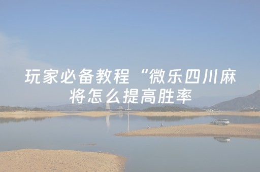 玩家必备教程“微乐四川麻将怎么提高胜率（专用辅牌神器免安装）