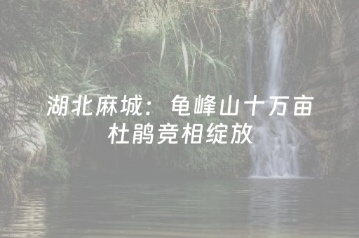 实测结果“微信红包尾数控制器ios版下载扫雷”（详细透视教程）-哔哩哔哩