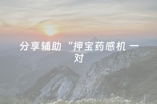 分享辅助“押宝药感机 一对（专用辅牌神器免安装）