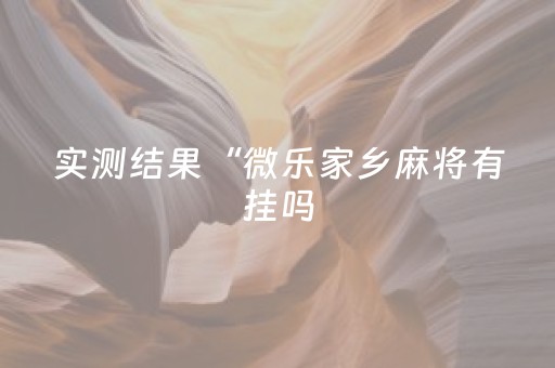 实测结果“微乐家乡麻将有挂吗（助赢神器通用版）