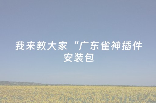 我来教大家“广东雀神插件安装包（专用辅牌神器免安装）