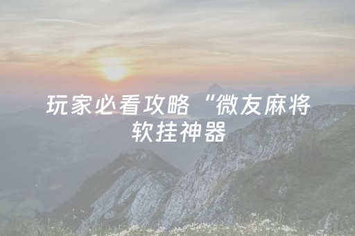 玩家必看攻略“微友麻将软挂神器（助赢神器通用版）