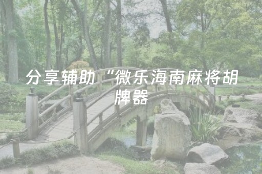 分享辅助“微乐海南麻将胡牌器（专用辅牌神器免安装）