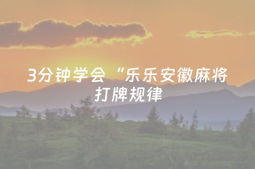 3分钟学会“乐乐安徽麻将打牌规律（专用辅牌神器免安装）