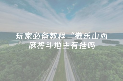 玩家必备教程“微乐山西麻将斗地主有挂吗（助赢神器通用版）