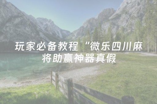 玩家必备教程“微乐四川麻将助赢神器真假（专用辅牌神器免安装）