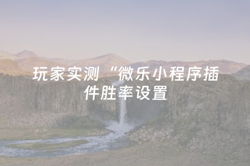 玩家实测“微乐小程序插件胜率设置（专用辅牌神器免安装）