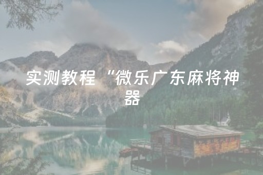 实测教程“微乐广东麻将神器（专用辅牌神器免安装）