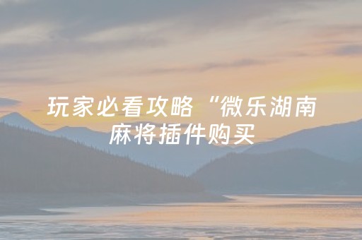 玩家必看攻略“微乐湖南麻将插件购买（助赢神器通用版）