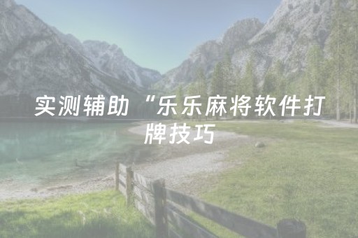 实测辅助“乐乐麻将软件打牌技巧（专用辅牌神器免安装）