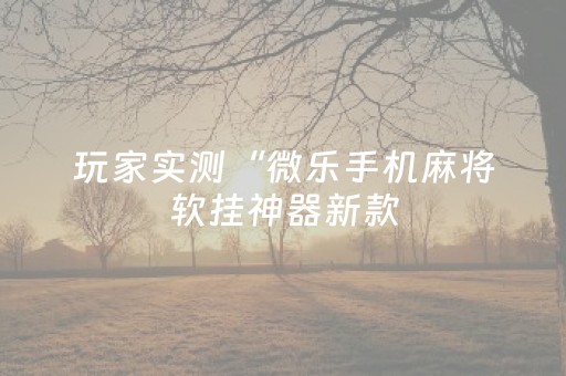 玩家实测“微乐手机麻将软挂神器新款（专用辅牌神器免安装）