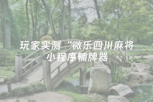 玩家实测“微乐四川麻将小程序辅牌器（助赢神器通用版）