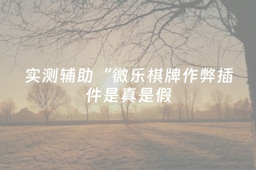实测辅助“微乐棋牌作弊插件是真是假（助赢神器通用版）