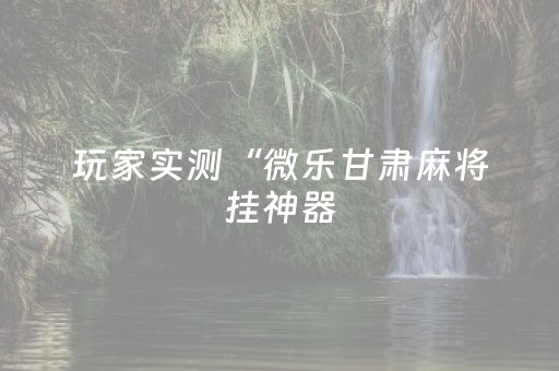 玩家实测“微乐甘肃麻将挂神器（专用辅牌神器免安装）