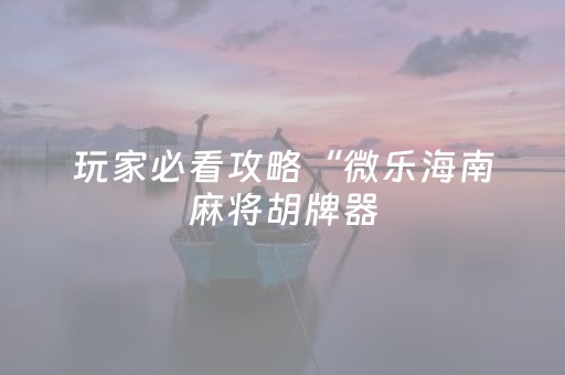 玩家必看攻略“微乐海南麻将胡牌器（助赢神器通用版）