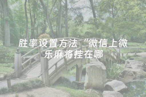 胜率设置方法“微信上微乐麻将挂在哪（专用辅牌神器免安装）
