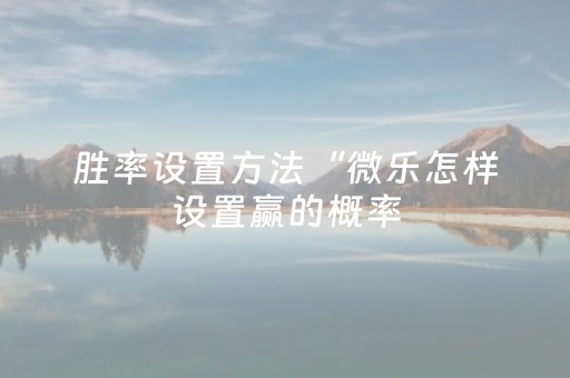 胜率设置方法“微乐怎样设置赢的概率（助赢神器通用版）