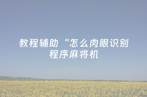 教程辅助“怎么肉眼识别程序麻将机（助赢神器通用版）