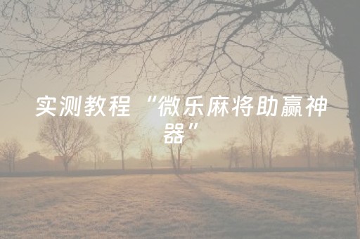 实测教程“微乐麻将助赢神器”（详细透视教程）-哔哩哔哩