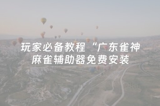 玩家必备教程“广东雀神麻雀辅助器免费安装（专用辅牌神器免安装）