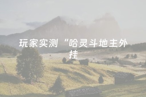 玩家实测“哈灵斗地主外挂（专用辅牌神器免安装）