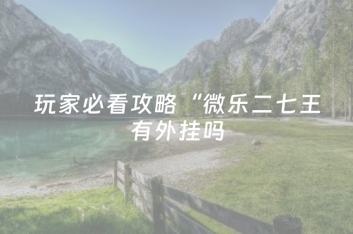 玩家必看攻略“微乐二七王有外挂吗（专用辅牌神器免安装）