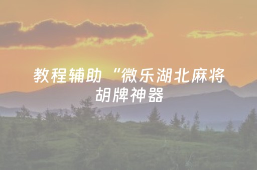 教程辅助“微乐湖北麻将胡牌神器（助赢神器通用版）
