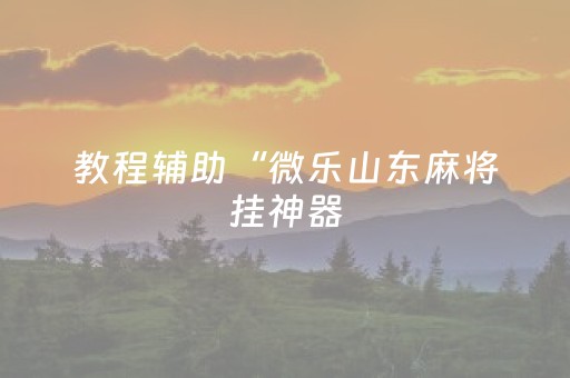 教程辅助“微乐山东麻将挂神器（助赢神器通用版）