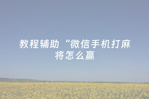 教程辅助“微信手机打麻将怎么赢（助赢神器通用版）
