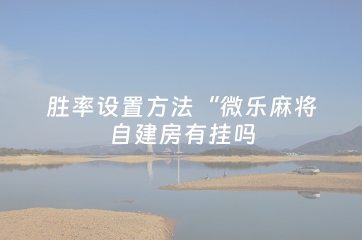 胜率设置方法“微乐麻将自建房有挂吗（专用辅牌神器免安装）