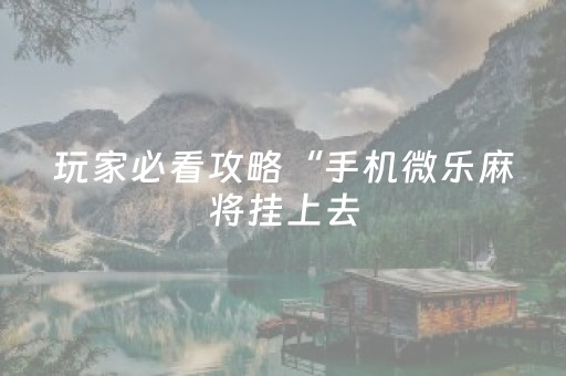 玩家必看攻略“手机微乐麻将挂上去（助赢神器通用版）