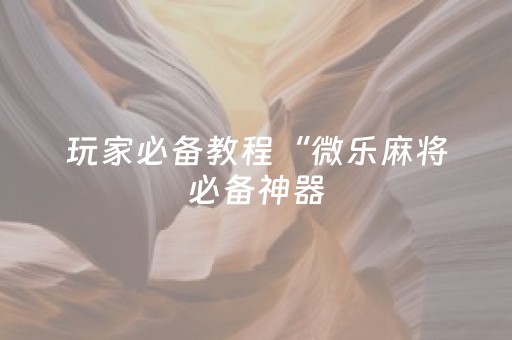 玩家必备教程“微乐麻将必备神器（助赢神器通用版）