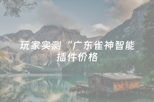 玩家实测“广东雀神智能插件价格（助赢神器通用版）