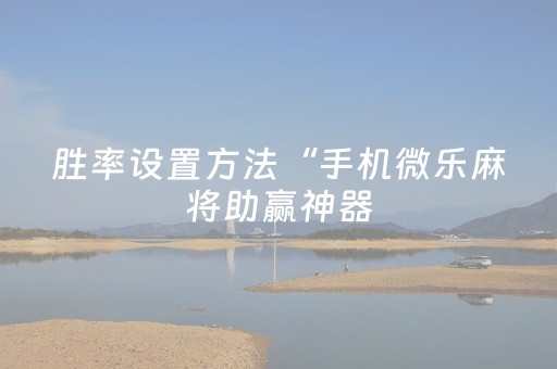 胜率设置方法“手机微乐麻将助赢神器（专用辅牌神器免安装）