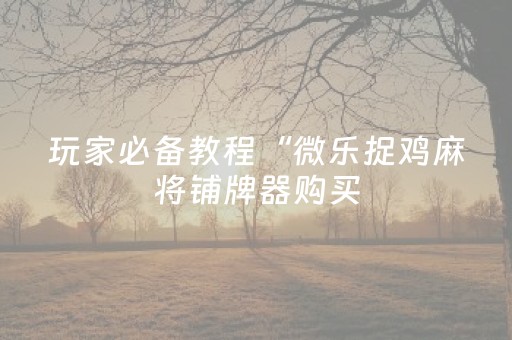 玩家必备教程“微乐捉鸡麻将铺牌器购买（专用辅牌神器免安装）